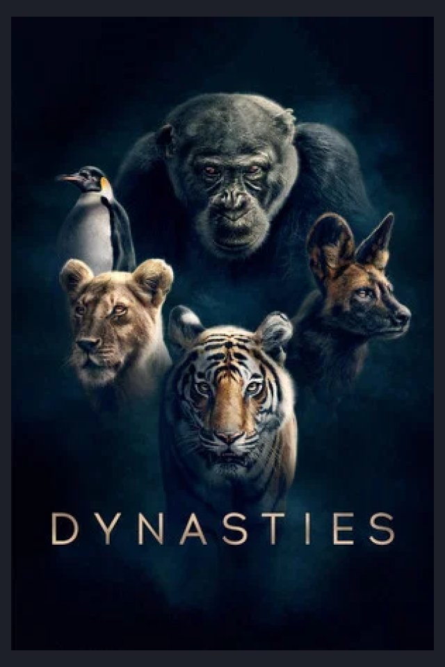 Locandina di Dynasties