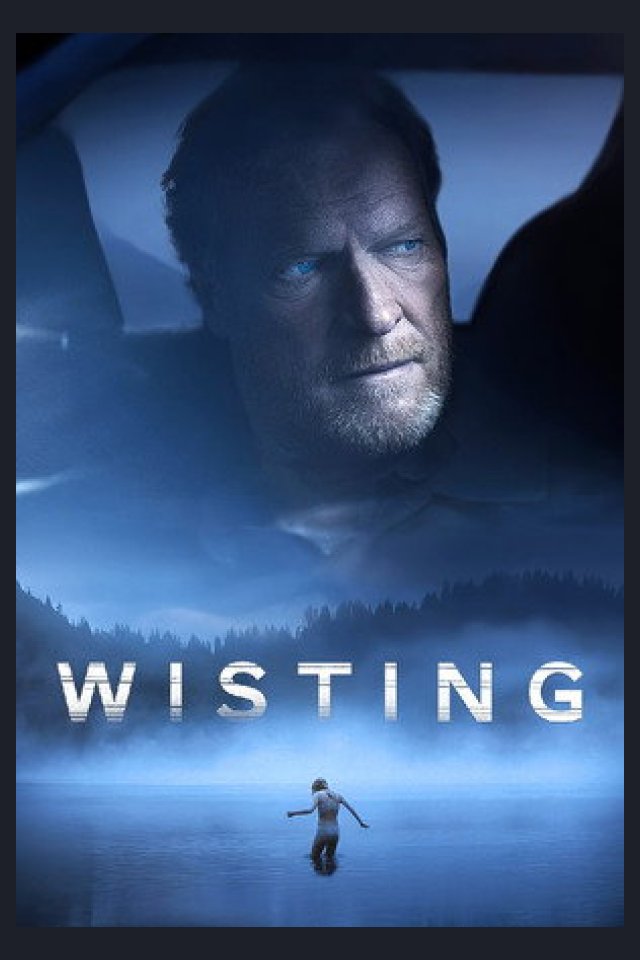 Locandina di Wisting