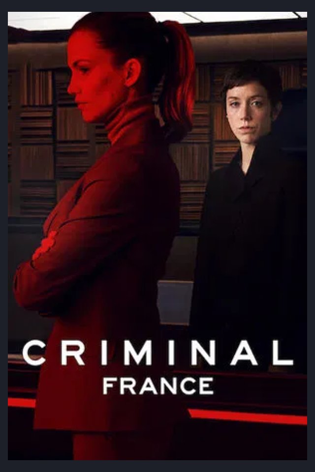 Locandina di Criminal: Francia