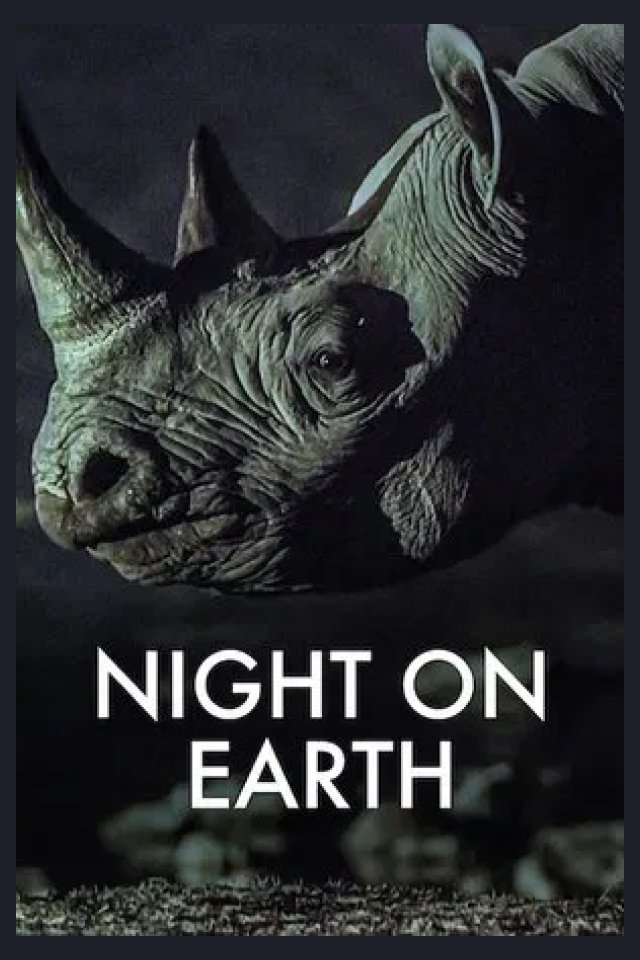 Locandina di Night on Earth