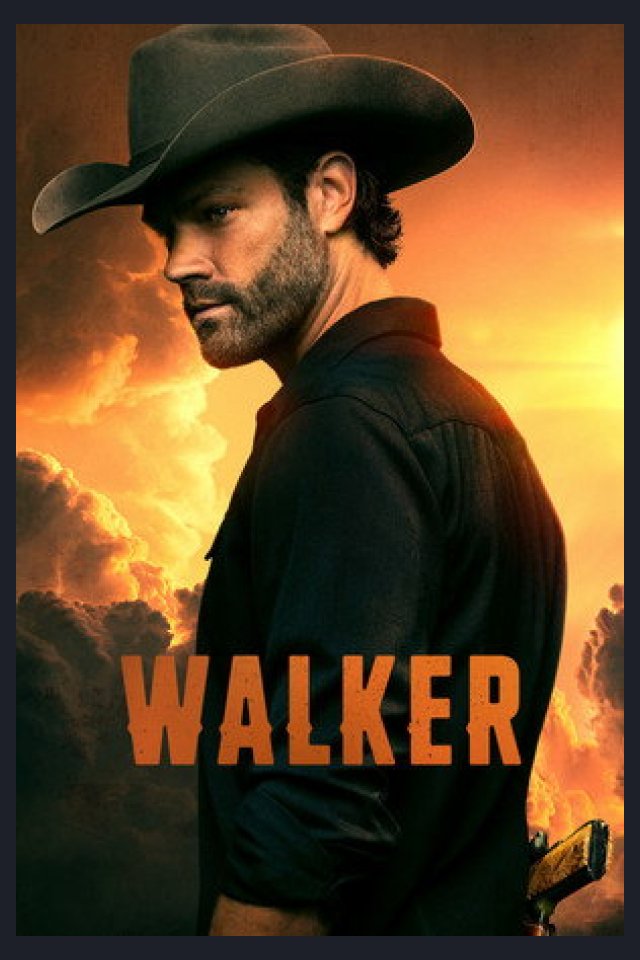 Locandina di Walker
